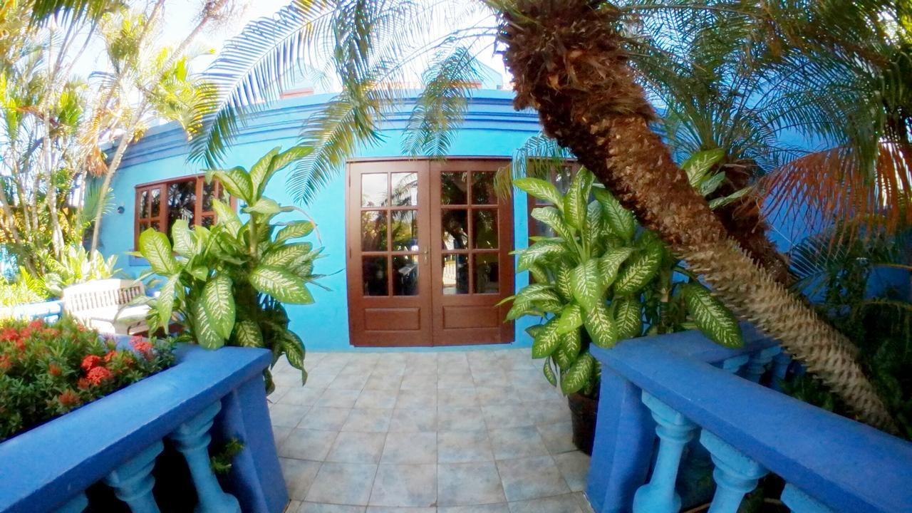 De Cuba Bed & Breakfast Ноорд Екстериор снимка